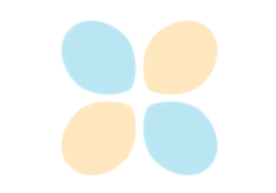 Custom Dataset