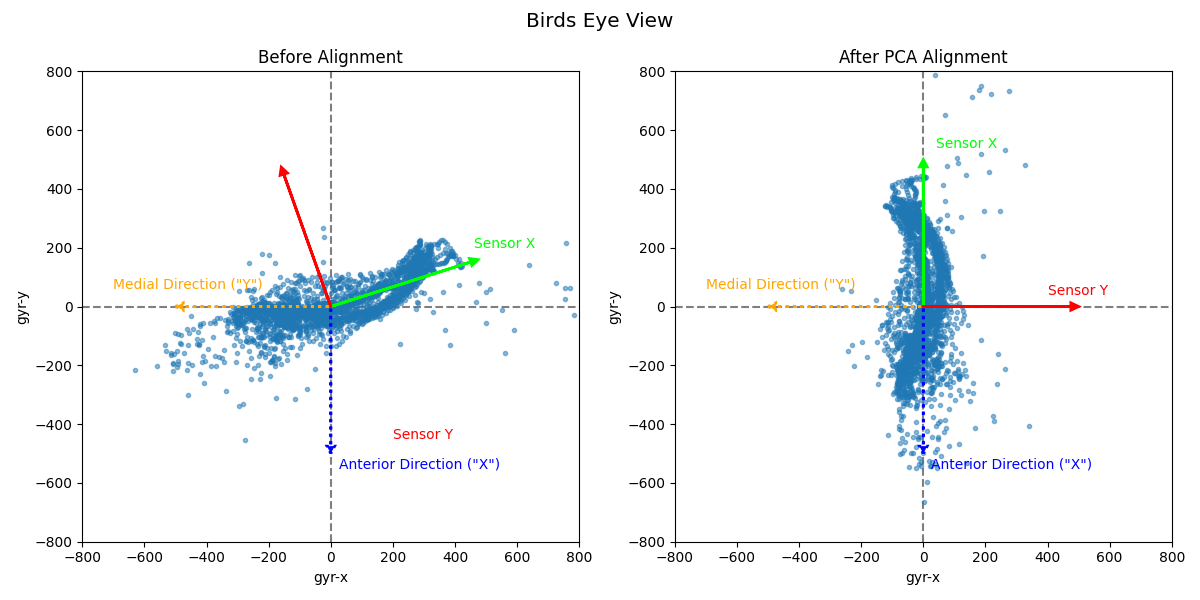 Birds Eye View, Before Alignment, After PCA Alignment