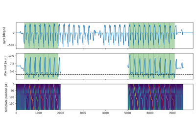 Stride segmentation with Regions of Interest