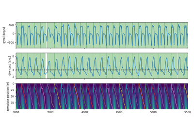 Constrained BarthDtw stride segmentation